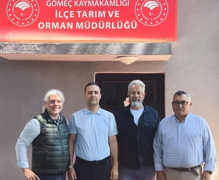 Gömeç İlçe Tarım Müdürümüz Sn. Safa Sağıroğlu ile Gömeç Zeytinciliği ile ilgili değerlendirmelerde bulunduk