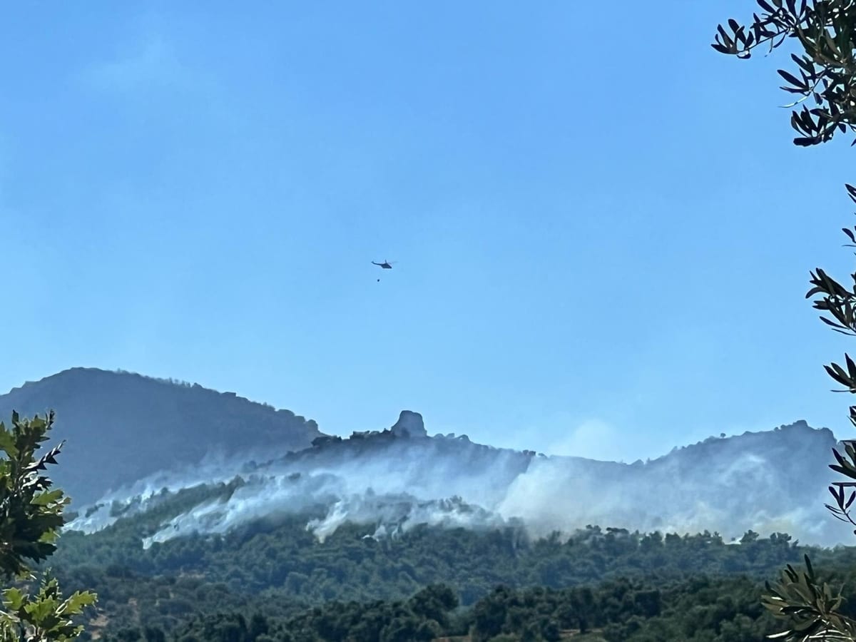Gömeç’te 29 Temmuzda başlayıp sert rüzgarın etkisi ile hızla yayılan yangın korkulu anlar yaşattı.