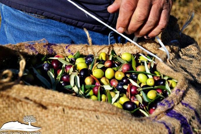 EKZZÜF – Milletvekili Adayları Buluşma Toplantısı